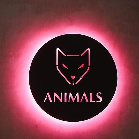 Animals Hotel Ahangama Exterior photo